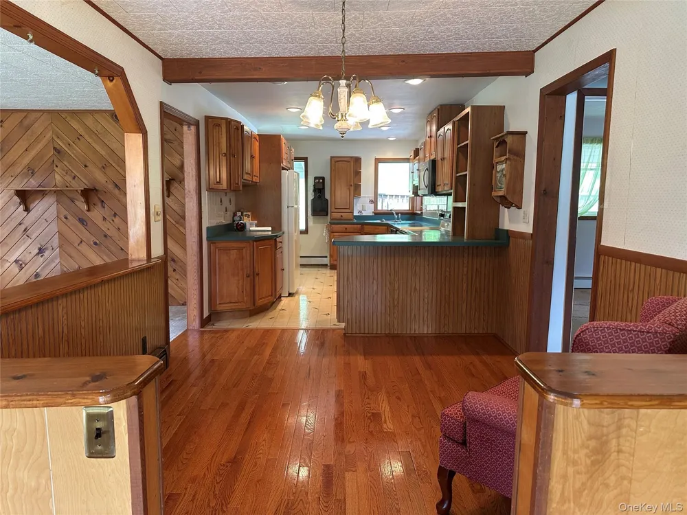 979 DeBruce Road Livingston Manor, NY 12758