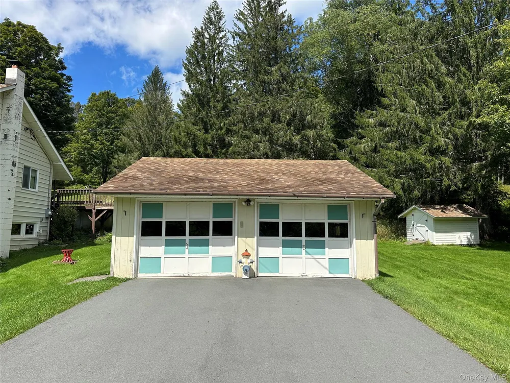 979 DeBruce Road Livingston Manor, NY 12758