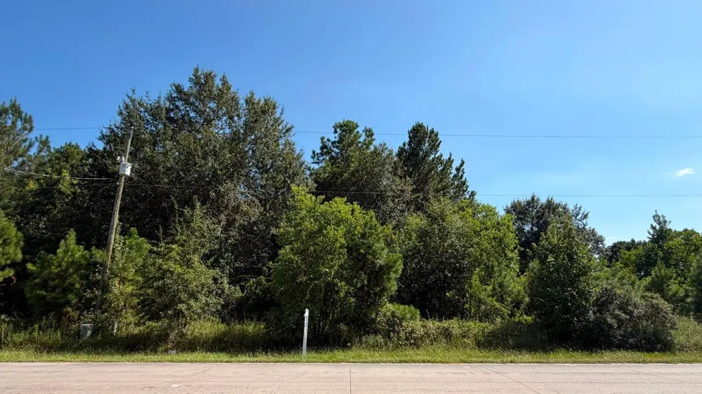 1616 County Road 3404 Cleveland, TX 77327