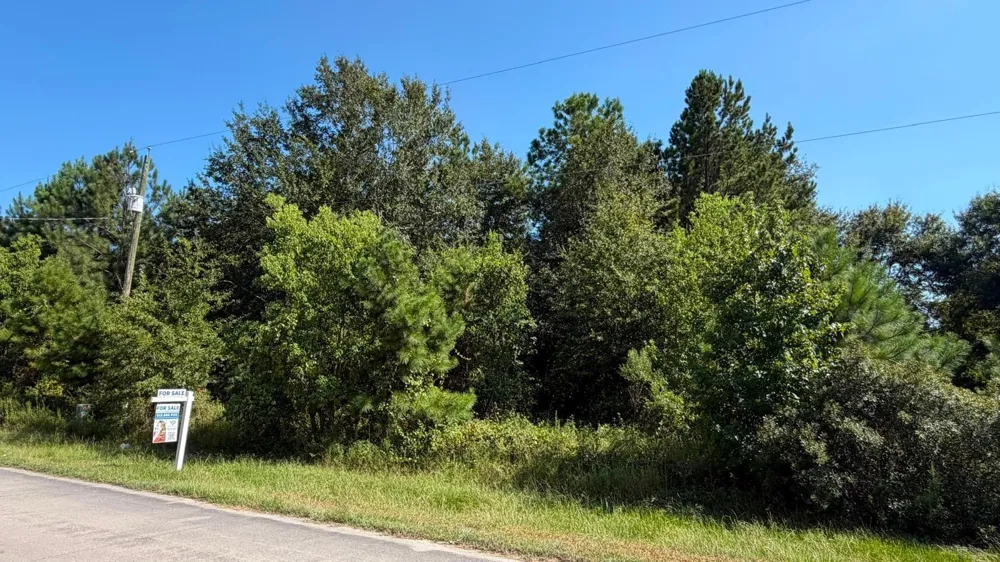1616 County Road 3404 Cleveland, TX 77327