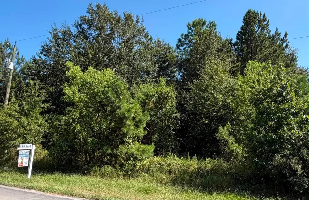 1616 County Road 3404 Cleveland, TX 77327