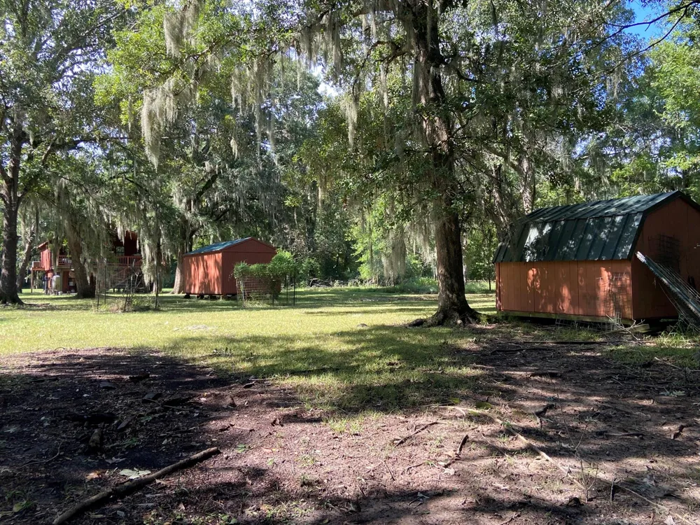 239 Ferguson Drive Cleveland, TX 77327
