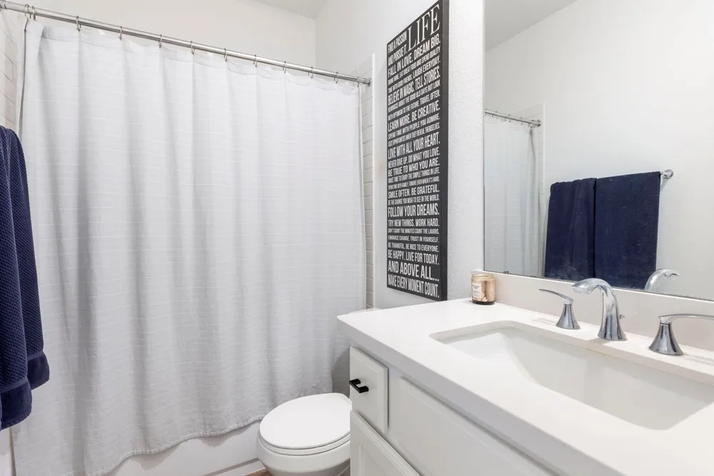 221 Sky Top Drive Montgomery, TX 77316