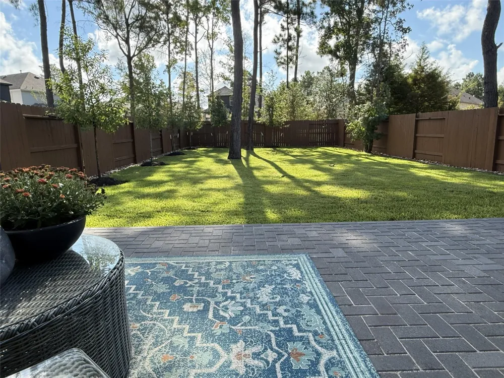 221 Sky Top Drive Montgomery, TX 77316