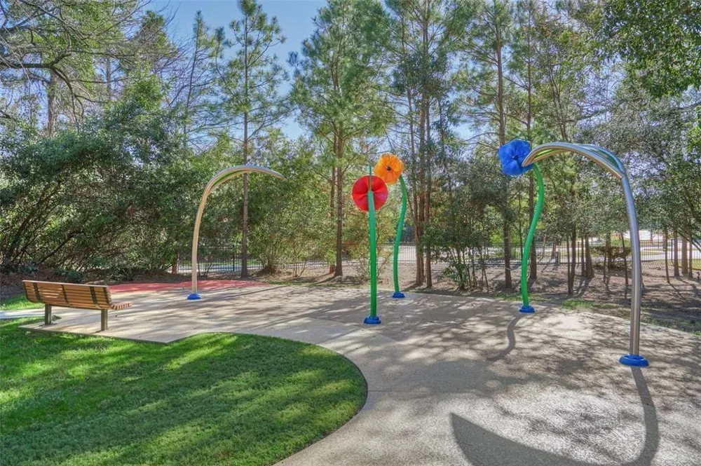 221 Sky Top Drive Montgomery, TX 77316