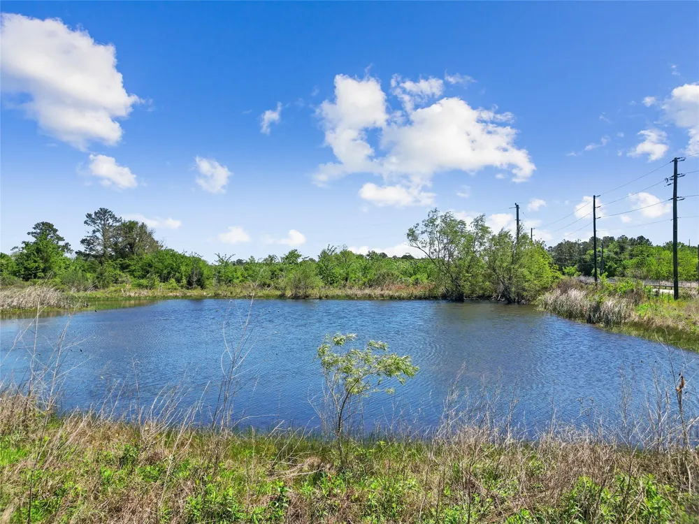 11242 Longstreet Road Willis, TX 77318