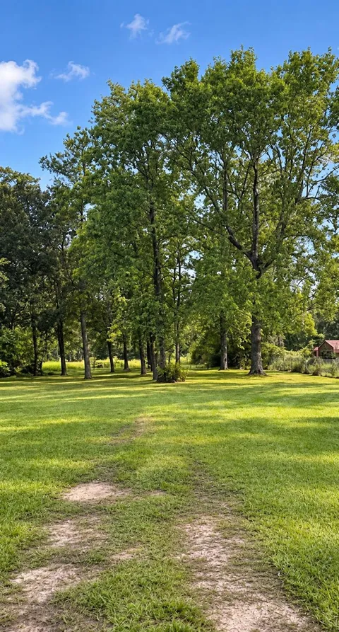 25710 Wildflower Drive