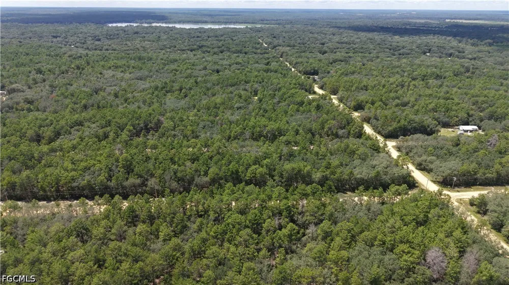  Interlachen, FL 32148