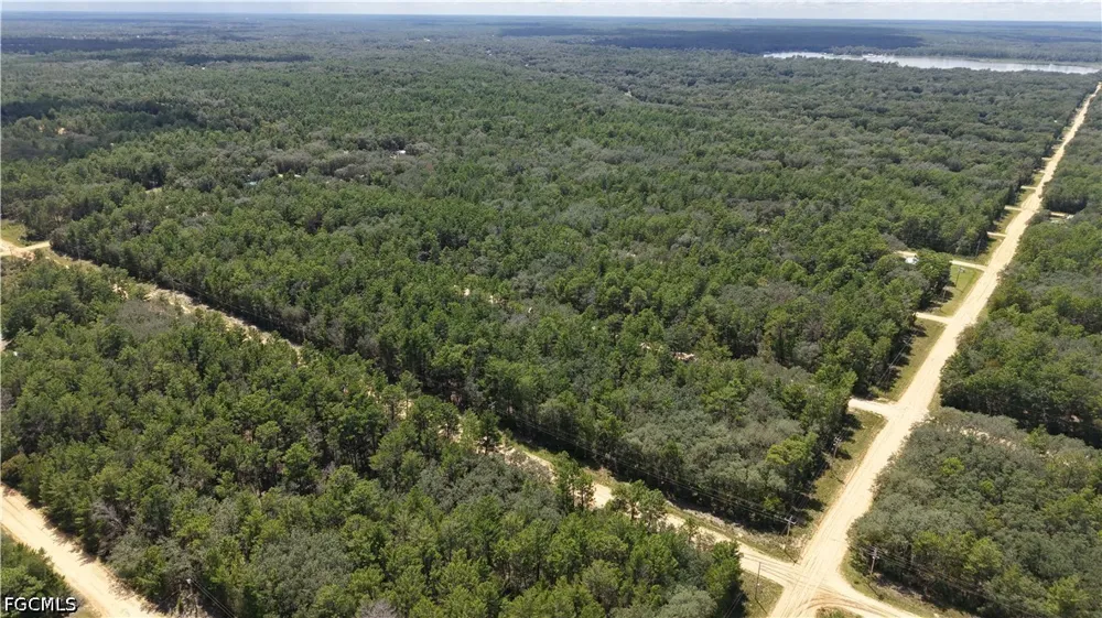  Interlachen, FL 32148