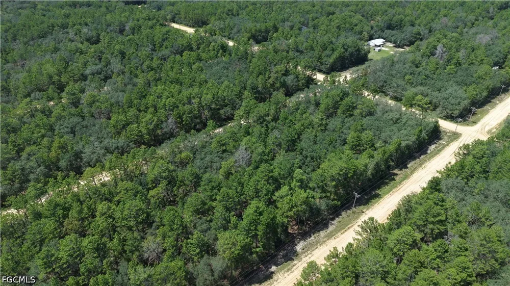  Interlachen, FL 32148