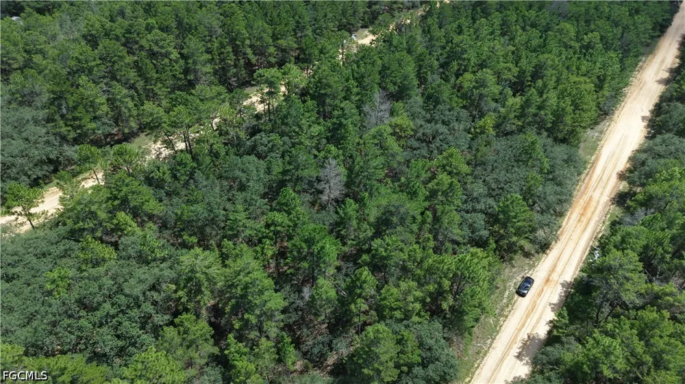  Interlachen, FL 32148