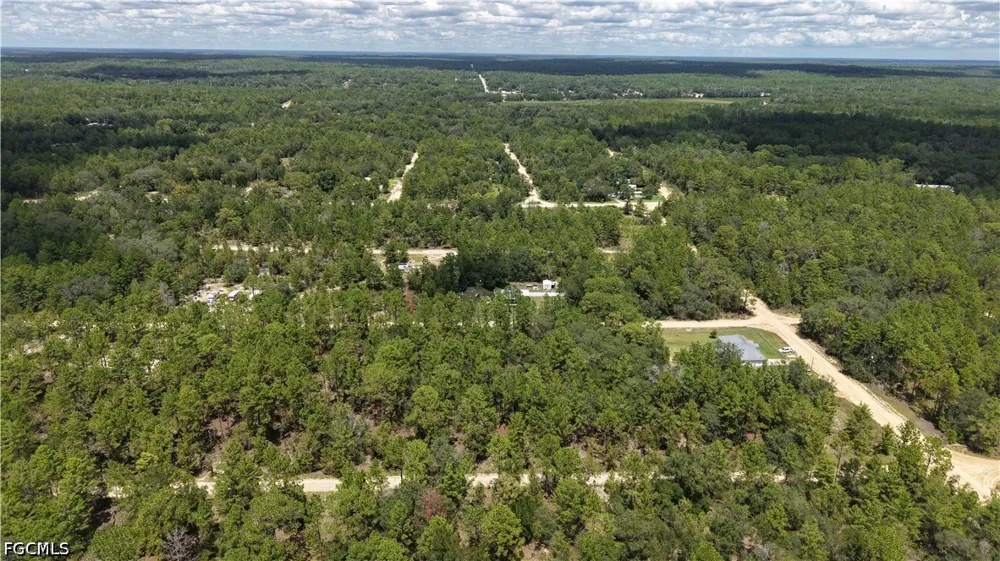 307 Himalayan St Interlachen, FL 32148