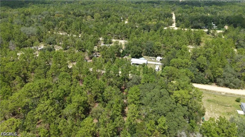 307 Himalayan St Interlachen, FL 32148