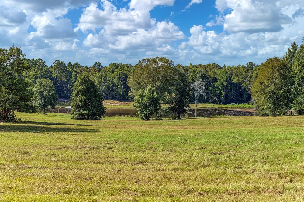5278 PR 1429 Centerville, TX 75833