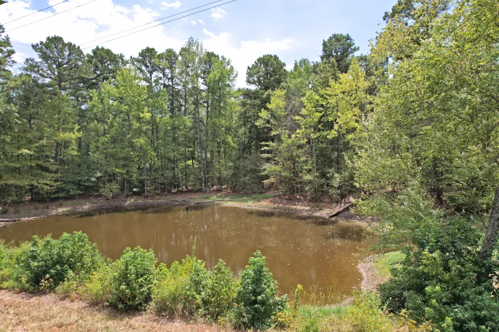 Fm 69 Quitman, TX 75783