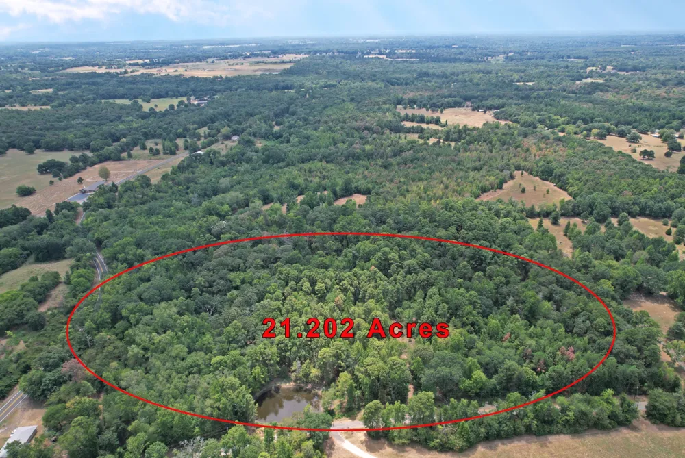 Fm 69 Quitman, TX 75783