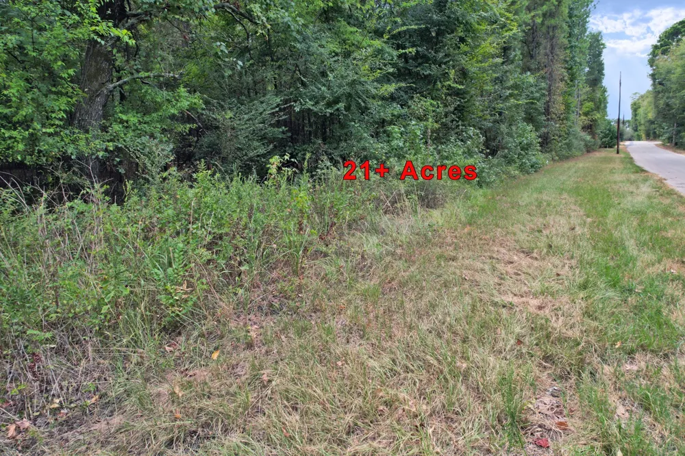 Fm 69 Quitman, TX 75783