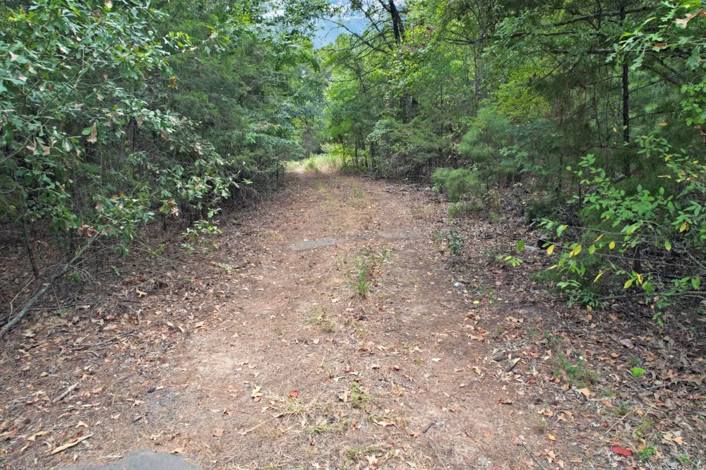 Fm 69 Quitman, TX 75783