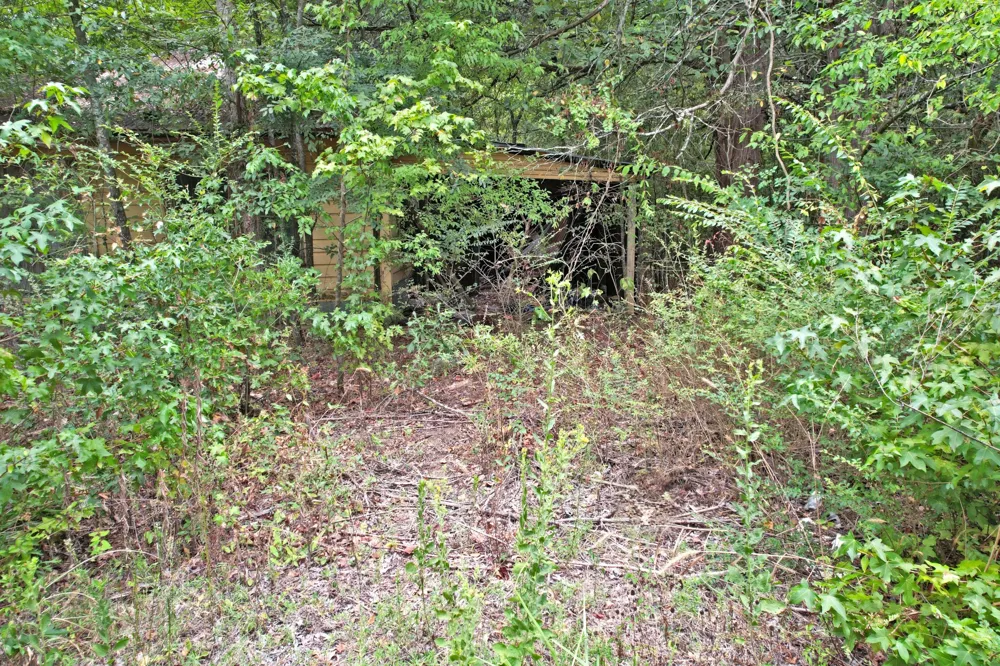 Fm 69 Quitman, TX 75783
