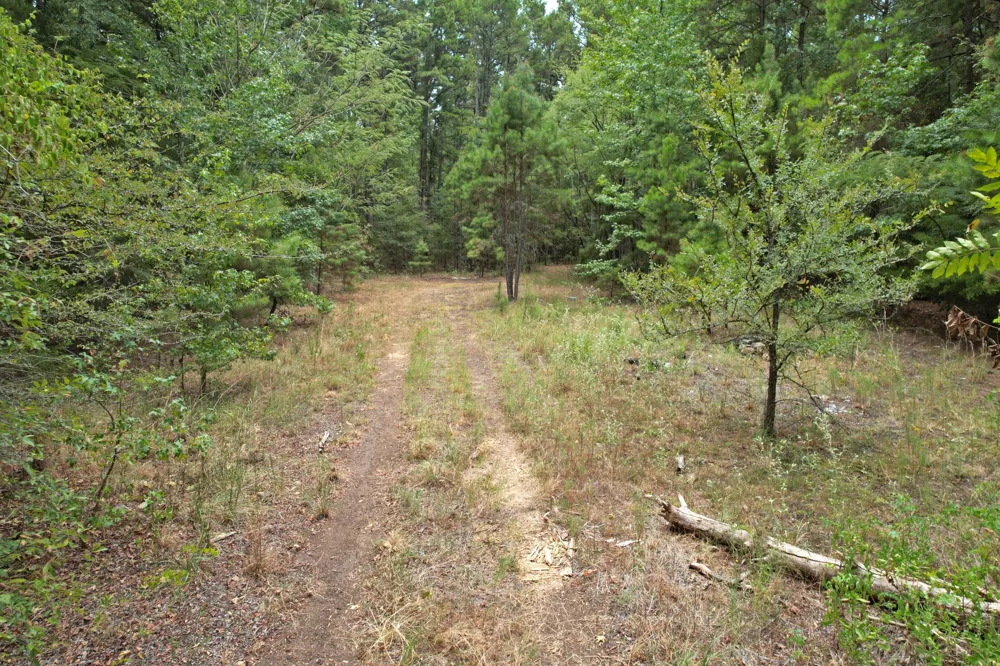 Fm 69 Quitman, TX 75783