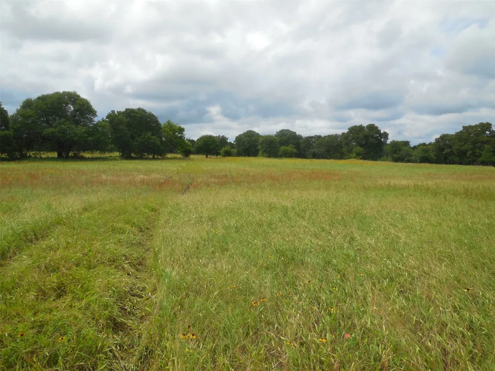 County Road 488 Ranger, TX 76470