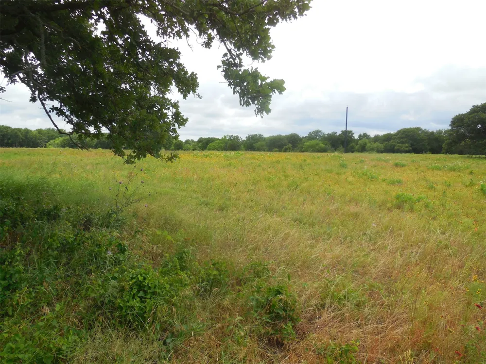 County Road 488 Ranger, TX 76470