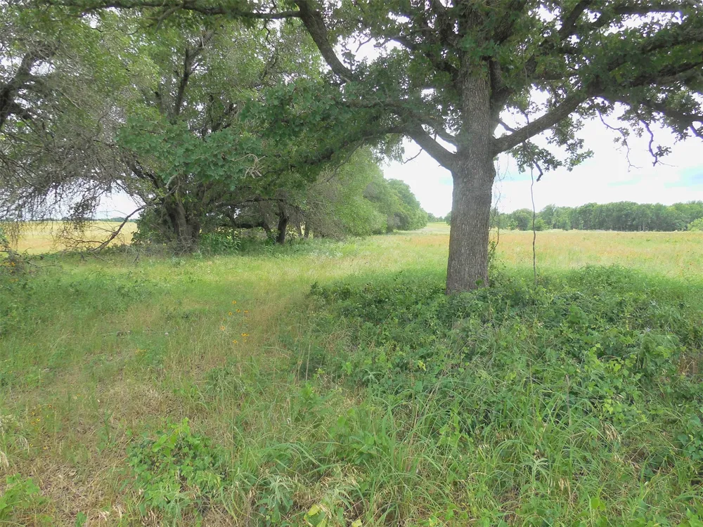 County Road 488 Ranger, TX 76470