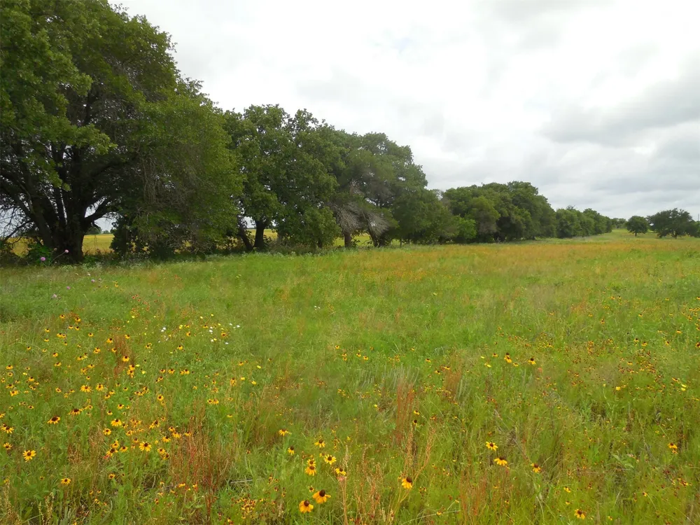 County Road 488 Ranger, TX 76470