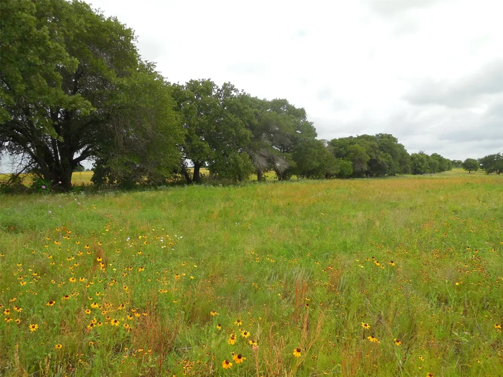 County Road 488 Ranger, TX 76470