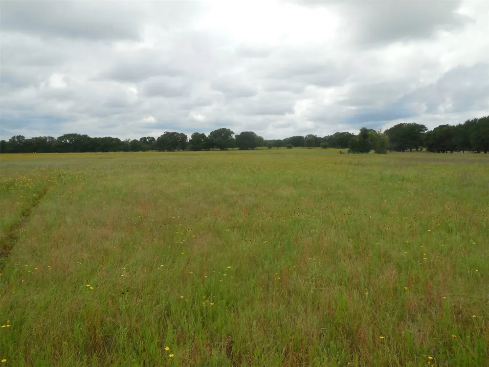County Road 488 Ranger, TX 76470