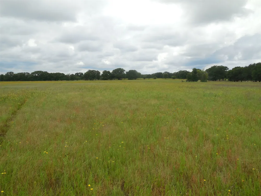 County Road 488 Ranger, TX 76470