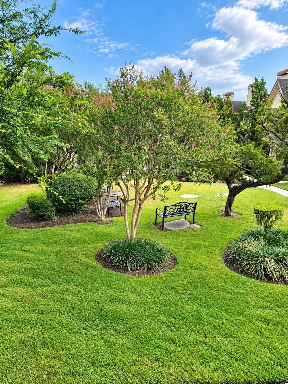2425 Holly Hall Street #53 Houston, TX 77054