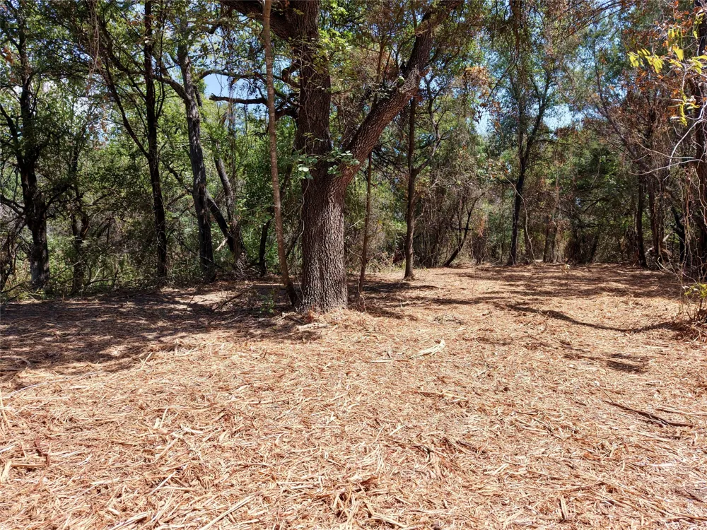 County Road 4240 Clifton, TX 76634