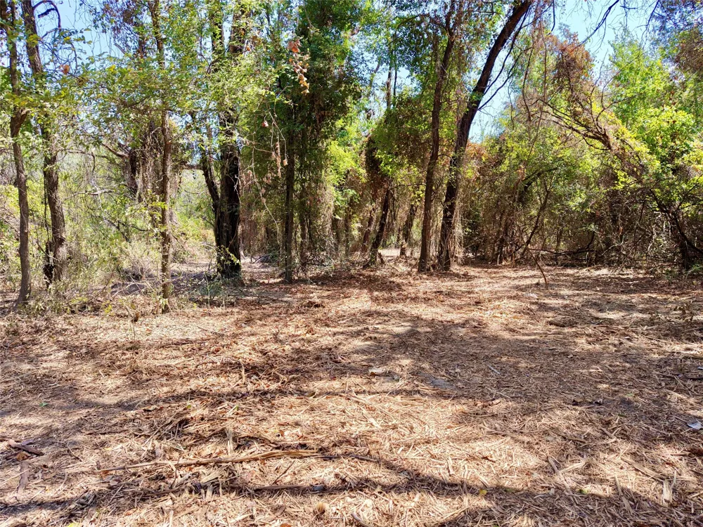 County Road 4240 Clifton, TX 76634