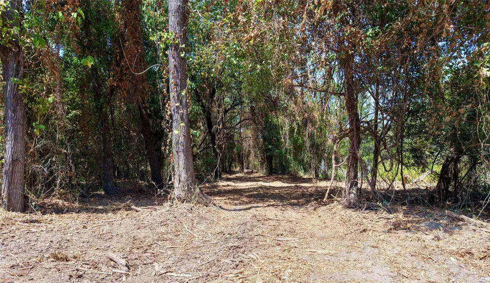 County Road 4240 Clifton, TX 76634