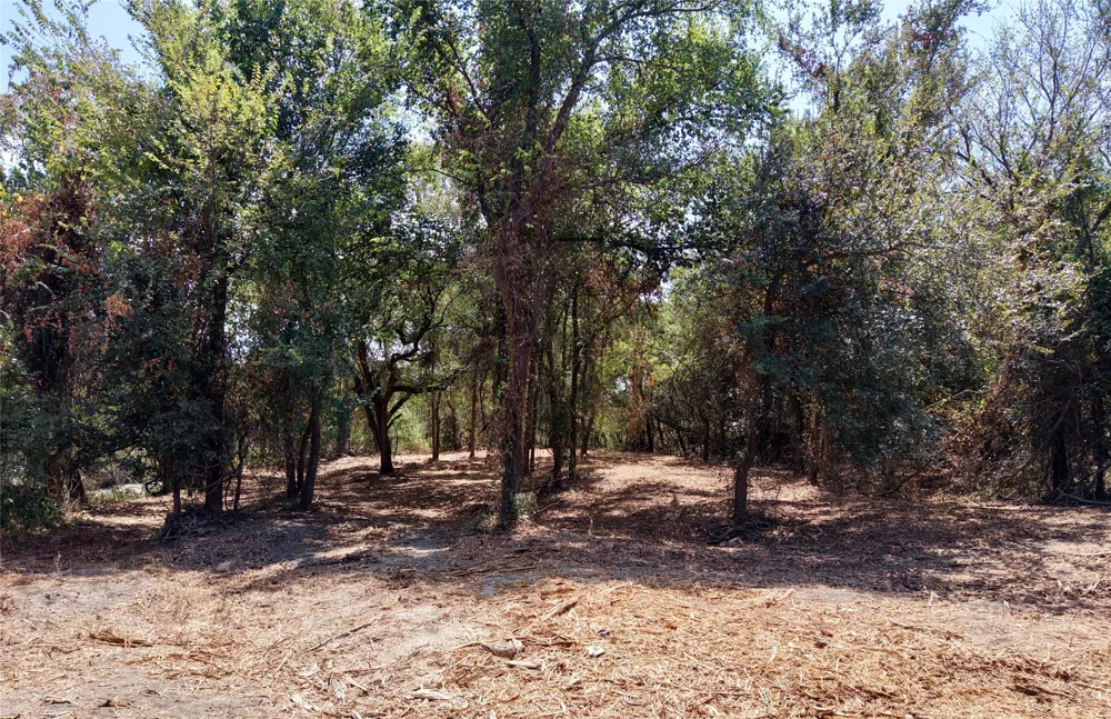 County Road 4240 Clifton, TX 76634