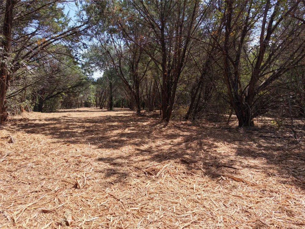 County Road 4240 Clifton, TX 76634