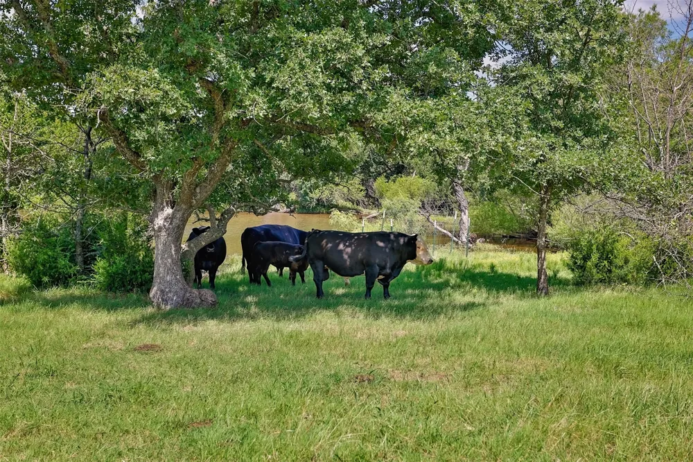 578 County Road 134 Gainesville, TX 76240