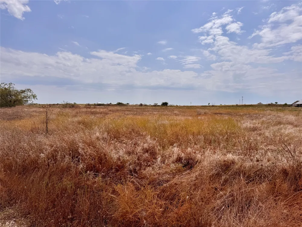 Blue Ridge Drive Weatherford, TX 76088