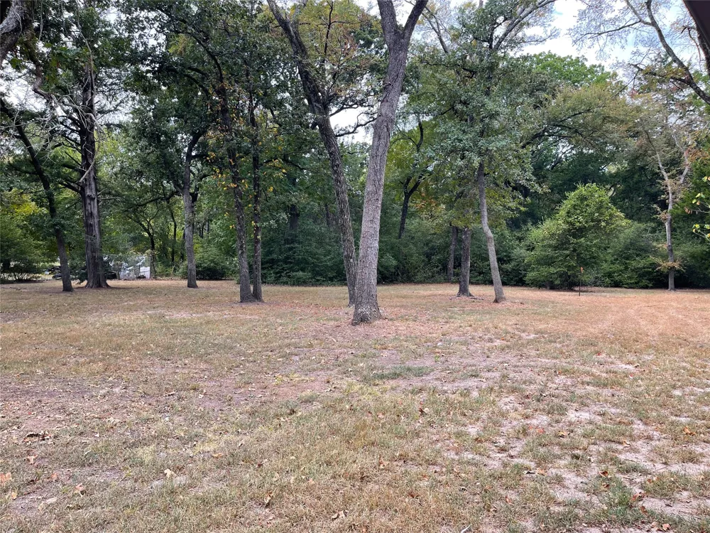 113 Fcr #523 Fairfield, TX 75840