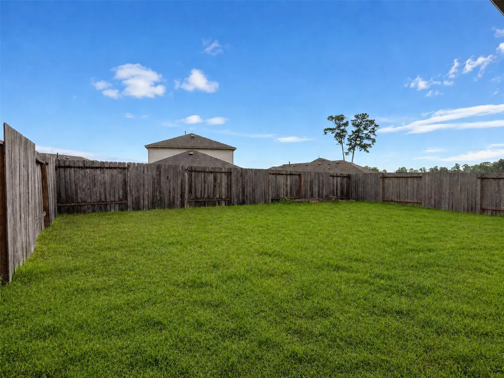 171 Ashe Juniper Way Magnolia, TX 77354