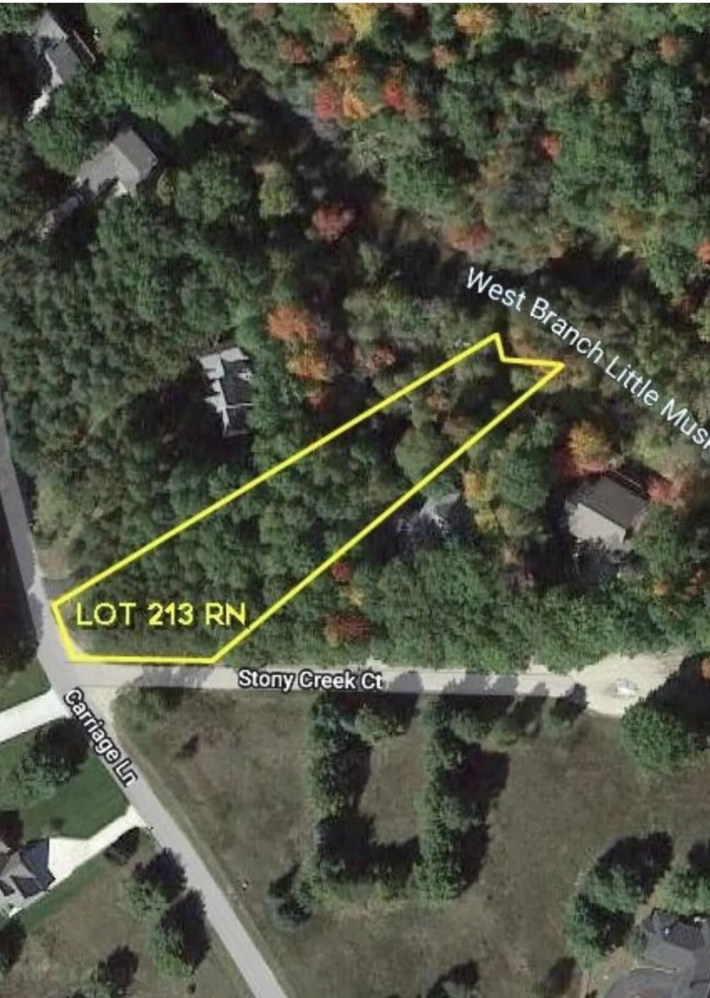 9750 Stony Creek Court Stanwood, MI 49346