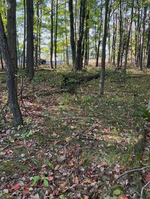 9750 Stony Creek Court Stanwood, MI 49346