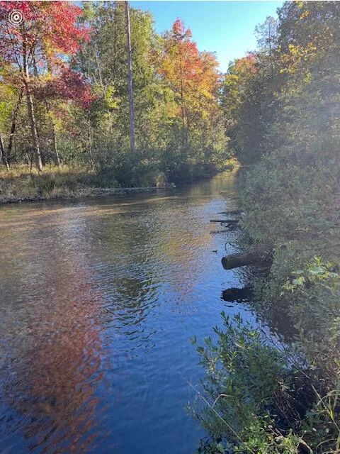 9750 Stony Creek Court Stanwood, MI 49346