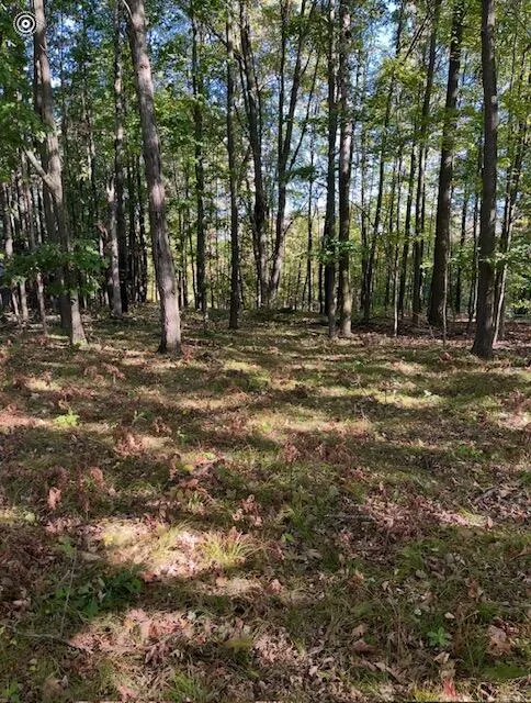 9750 Stony Creek Court Stanwood, MI 49346