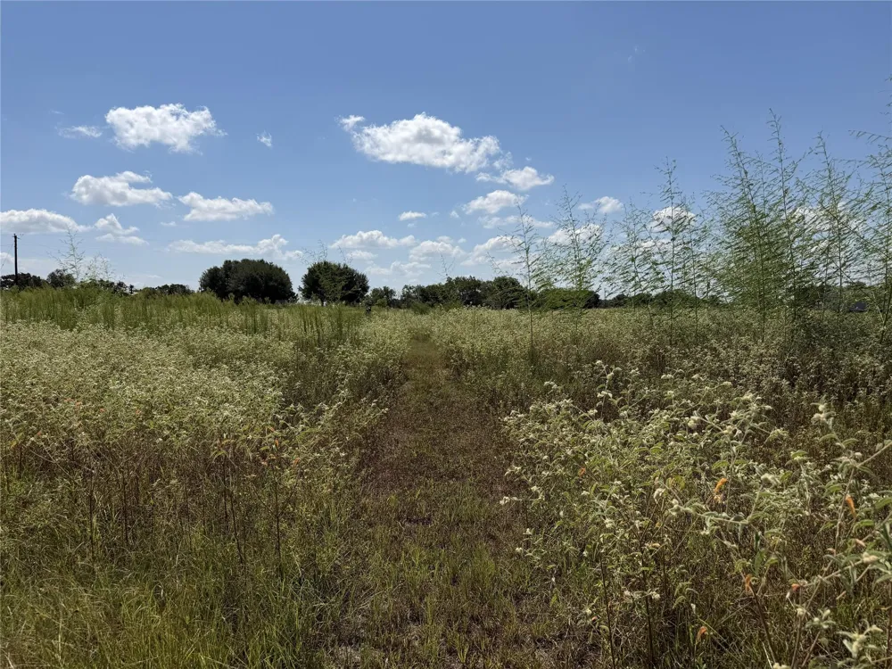 3655 County Road 430 Dime Box, TX 77853