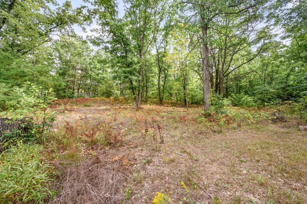 3972 115th Avenue Evart, MI 49631