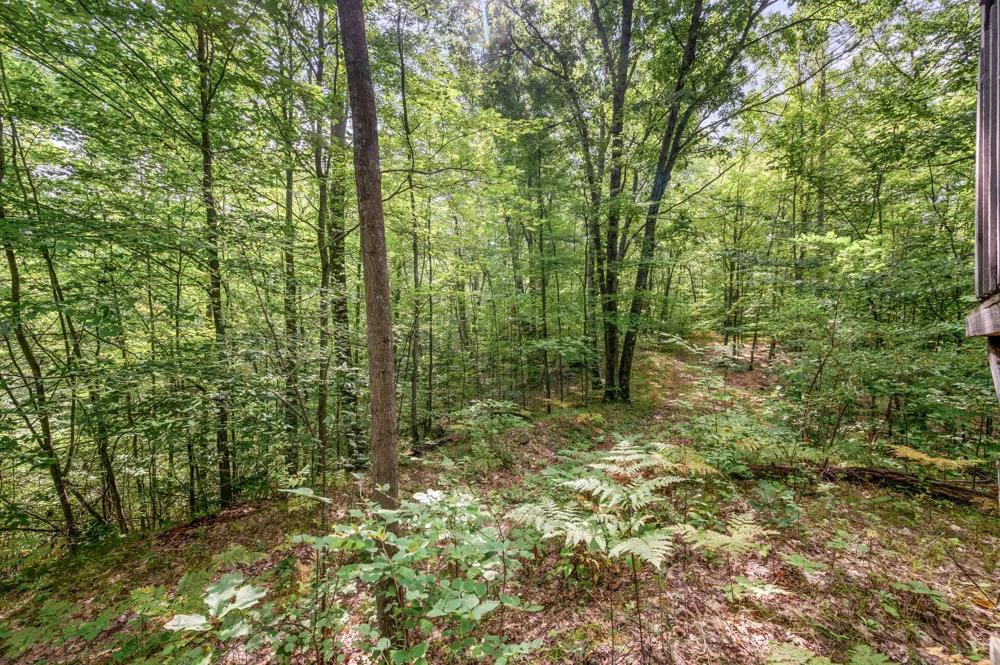 3972 115th Avenue Evart, MI 49631