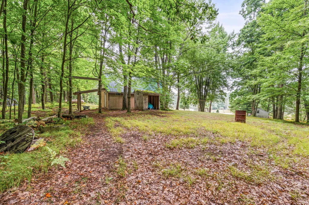5784 E 24th Street Chase, MI 49623