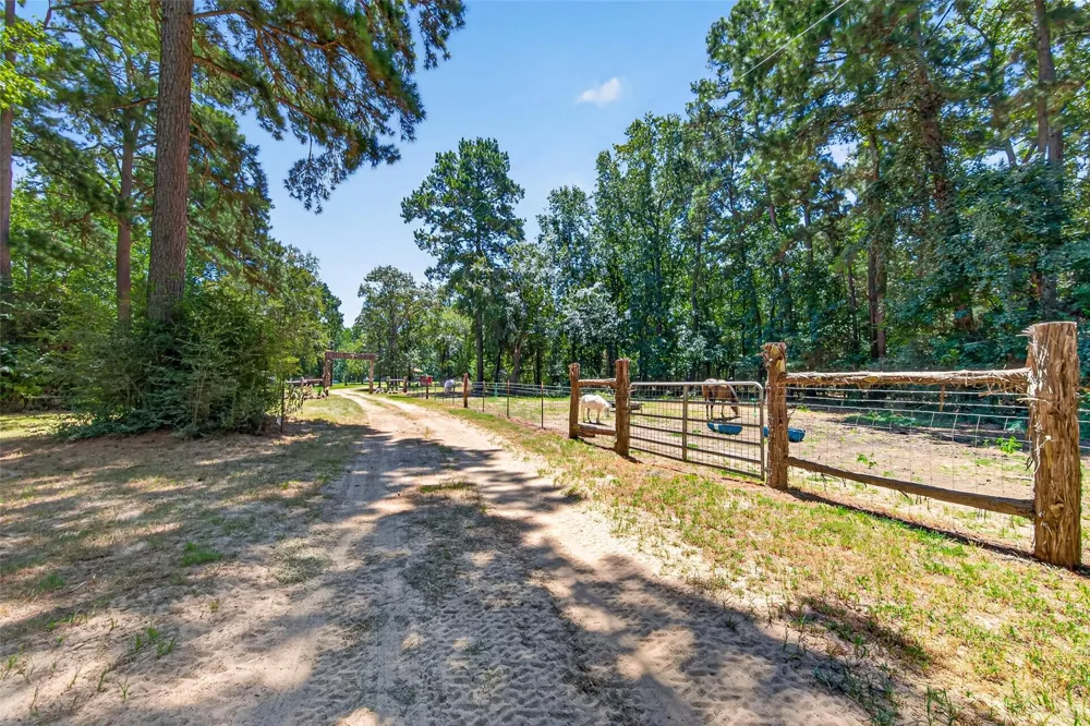 9846 Post Oak Cemetery Road Montgomery, TX 77356